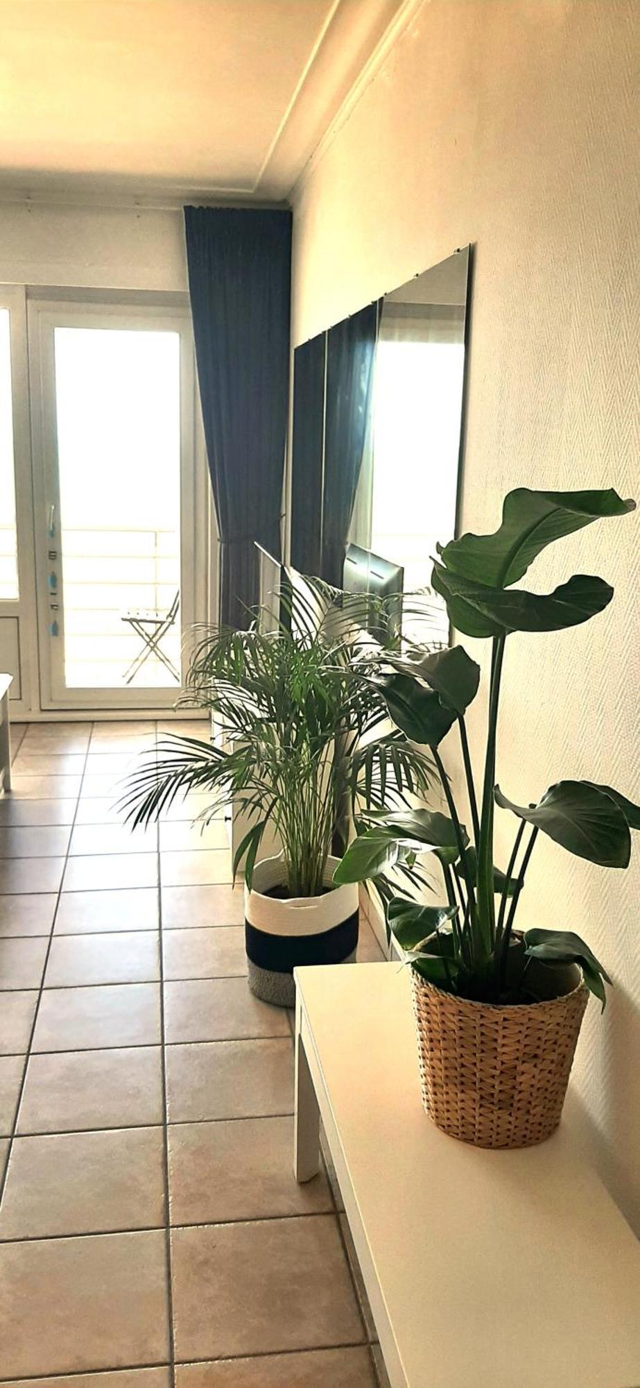 L'oo Appartement